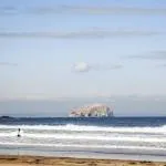 Surfing in Scotland?! Is it really finally spring? Hes gothellip