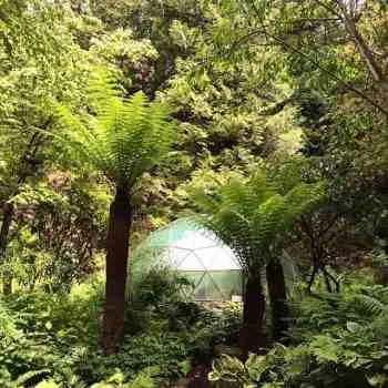 Attadale Gardens, Wester Ross