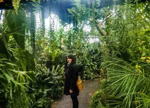 Edinburgh Botanic Gardens